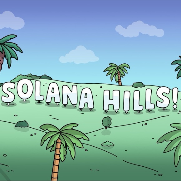 NWT Oversized Solana Hills DYOR (Do your own research) orange hoodie 100% cotton - Picture 11 of 12